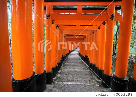 伏見稲荷大社 伏見稲荷大社 70063292