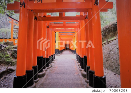 伏見稲荷大社 70063293