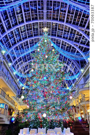 サッポロファクトリー ジャンボクリスマスツリーの写真素材