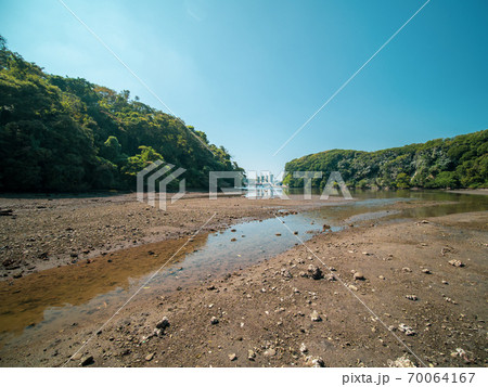 秋晴れの小網代の森の風景 70064167