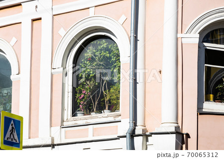 arge houseplants in outdoor window of urban house 70065312