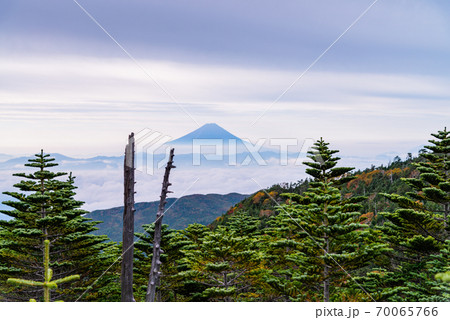 (山梨県)国師ヶ岳の紅葉、富士山 (山梨県)国師ヶ岳の紅葉、富士山 70065766