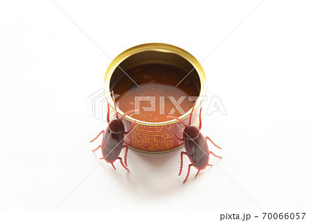 食べ残した缶詰に群がるゴキブリ 70066057