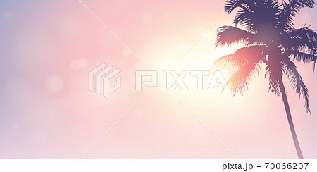 palm trees silhouette on a sunny day summer holiday design 70066207