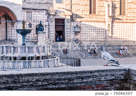 View of monumental medieval fountain (Fontana Maggiore), on the background the cathedral of Perugia 70066307