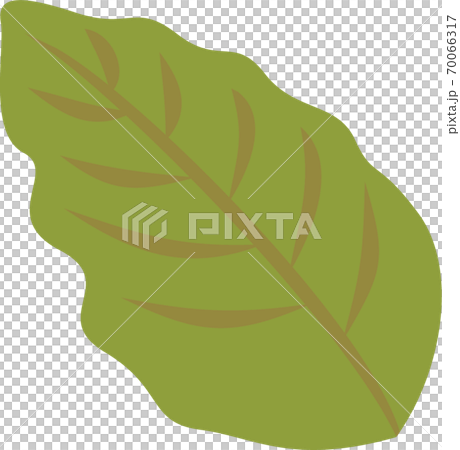 Leaf icon illustration Leaf icon illustration 70066317