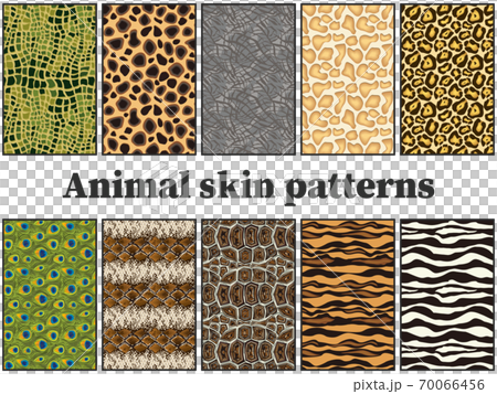 10 kinds of animal skin set 70066456