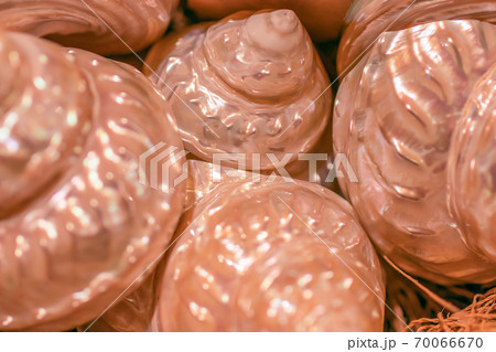 Seashell pattern. Mother of pearl background. Natural seashell macro texture, top view. 70066670
