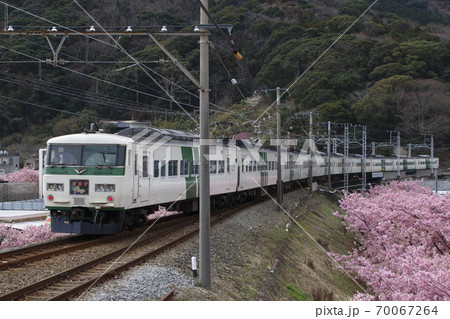 春の河津町を行く、特急踊り子 70067264