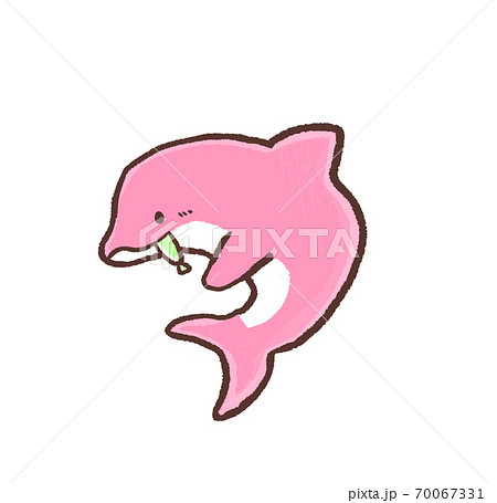 R:もっとメルヘンな水族館 バンドウイルカ イルカショー シンプル C R:もっとメルヘンな水族館 バンドウイルカ イルカショー シンプル C 70067331