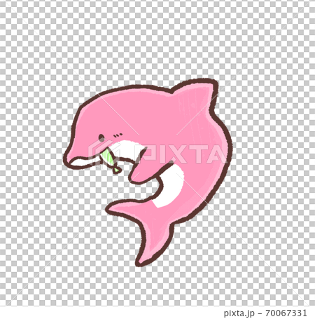 R:もっとメルヘンな水族館 バンドウイルカ イルカショー シンプル C R:もっとメルヘンな水族館 バンドウイルカ イルカショー シンプル C 70067331