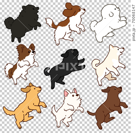 ジャンプする色々な犬のシンプルで可愛いイラスト セットc 主線ありのイラスト素材