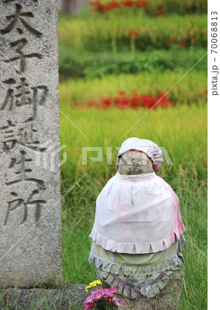 彼岸花 彼岸花 70068813