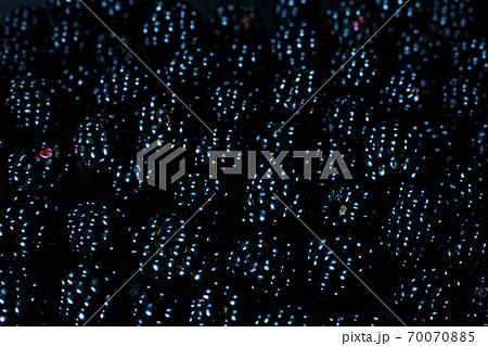 Close-up of ripe black mulberry berries. View from above Close-up of ripe black mulberry berries. View from above 70070885