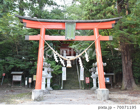栃木県矢板市　木幡神社 70071195