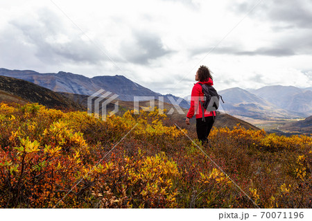 Girl Hiking in Canadian Nature 70071196