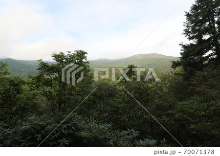 群馬県片品村の尾瀬の鳩待峠から山の鼻への登山道 70071378