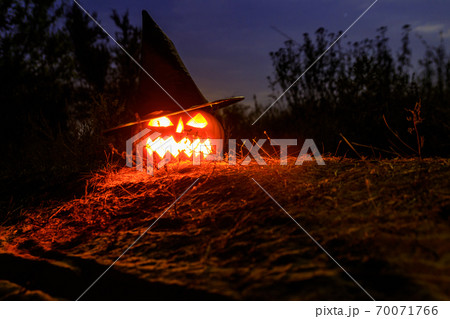 Spooky Halloween pumpkin jack-o-lantern in witch hat with burning candles in scary forest at night 70071766