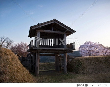 石川県白山市 桜と鳥越城跡 70073220