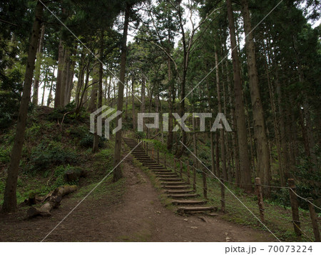 新潟県上越市 春日山城跡 登城道 70073224