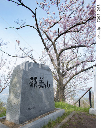 愛媛県　岩城島　積善山の桜 70074268