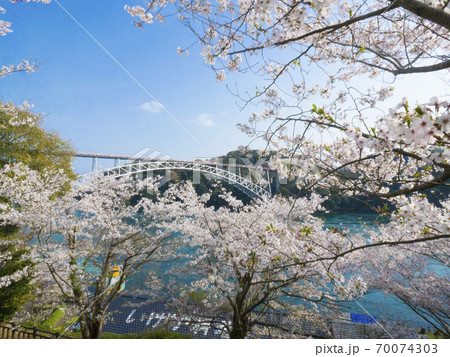 長崎県　西海橋公園の桜 70074303