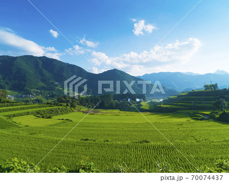 高千穂　栃又の棚田　尾戸の口棚田 70074437
