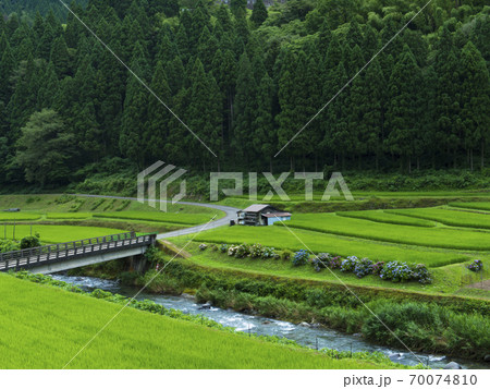 兵庫県 岩座神の棚田(日本の棚田百選) 兵庫県 岩座神の棚田(日本の棚田百選) 70074810