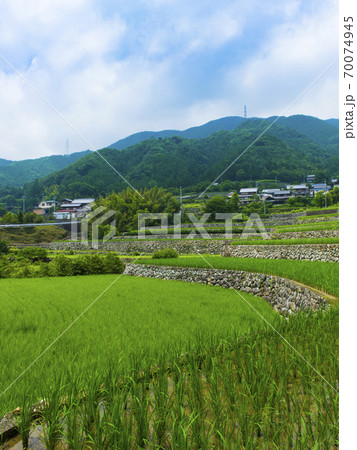 三重県 深野だんだん田(日本の棚田百選) 三重県 深野だんだん田(日本の棚田百選) 70074945