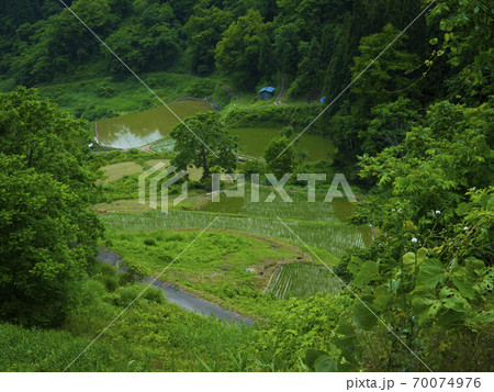 長野県　大西の棚田（日本の棚田百選） 70074976