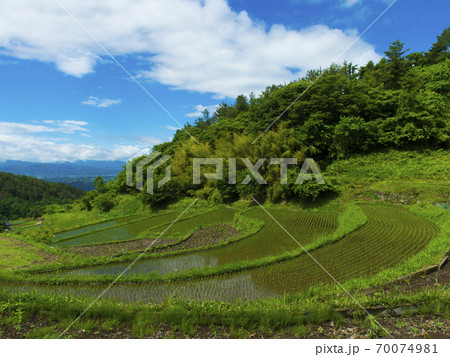 長野県 滝ノ沢の棚田 日本の棚田百選 の写真素材