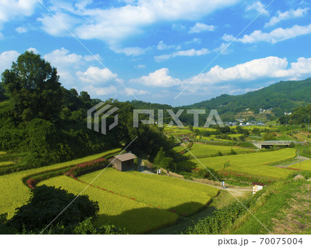 奈良県 神奈備の里(日本の棚田百選) 奈良県 神奈備の里(日本の棚田百選) 70075004