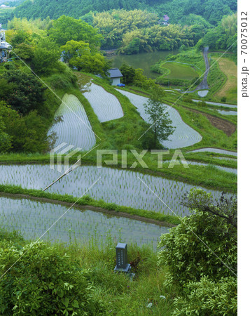 岡山県 北庄の棚田(日本の棚田百選) 岡山県 北庄の棚田(日本の棚田百選) 70075012