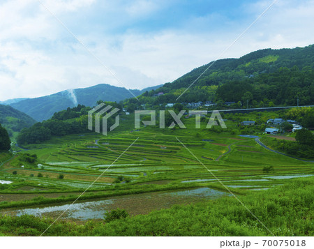 岡山県　大垪和西の棚田（日本の棚田百選） 70075018