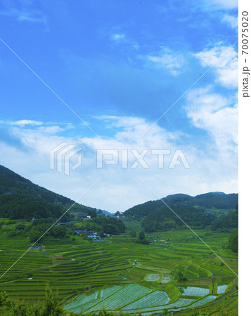 岡山県 大垪和西の棚田(日本の棚田百選) 岡山県 大垪和西の棚田(日本の棚田百選) 70075020