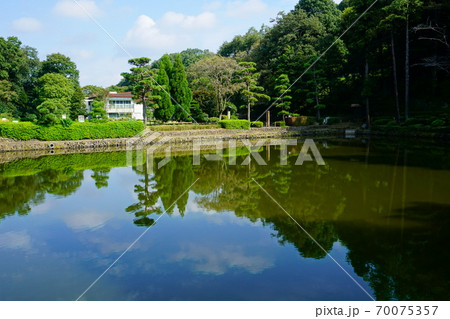 町田薬師池公園の薬師池 70075357