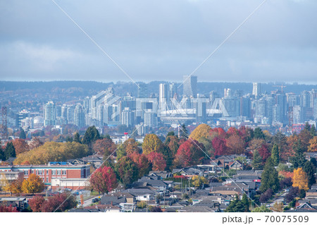 市街地を彩る秋の紅葉 バンクーバー ブリティッシュコロンビア州 カナダの写真素材