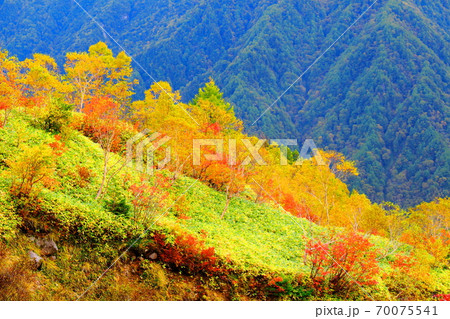 麗しき北アルプス その2010 : 紅葉の焼岳 その2010 : 紅葉と北アルプス 2010 麗しき北アルプス その2010 : 紅葉の焼岳 その2010 : 紅葉と北アルプス 2010 70075541
