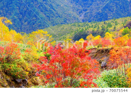 麗しき北アルプス　その2010　：　紅葉の焼岳　その2010   ：　 紅葉と北アルプス　2010 70075544