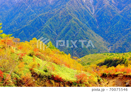 麗しき北アルプス　その2010　：　紅葉の焼岳　その2010   ：　 紅葉と北アルプス　2010 70075546