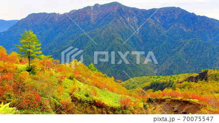 麗しき北アルプス　その2010　：　紅葉の焼岳　その2010   ：　 紅葉と北アルプス　2010 70075547