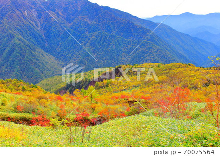 麗しき北アルプス　その2010　：　紅葉の焼岳　その2010   ：　 紅葉と北アルプス　2010 70075564