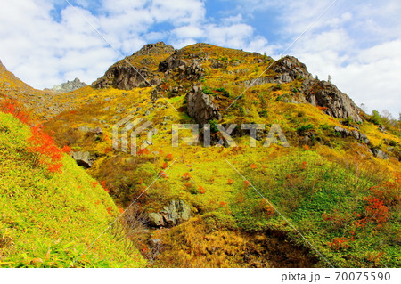 麗しき北アルプス　その2010　：　紅葉の焼岳　その2010   ：　 紅葉と北アルプス　2010 70075590