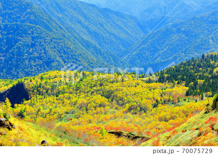 麗しき北アルプス　その2010　：　紅葉の焼岳　その2010   ：　 紅葉と北アルプス　2010 70075729