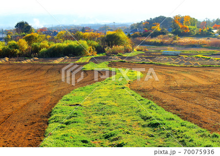 信州の紅葉　その2010　：　　花と植物が織りなす色紙　その2010 70075936