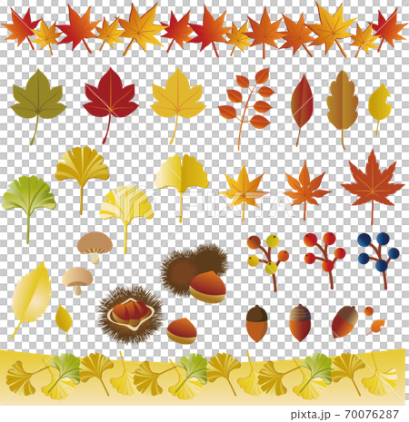 Autumn material illustration set - Stock Illustration [70076287] - PIXTA
