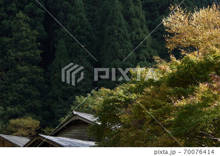 鳥取 四季の散歩 板井原集落 鳥取 四季の散歩 板井原集落 70076414
