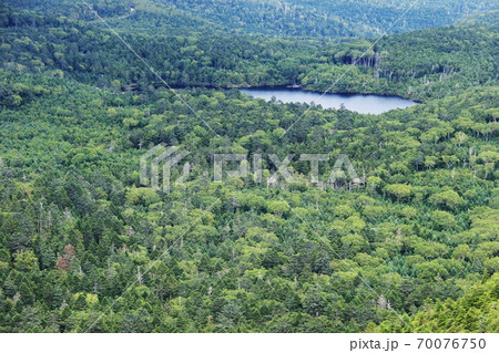 初秋の北八ヶ岳　『にゅう』山頂から白駒池を望む 70076750