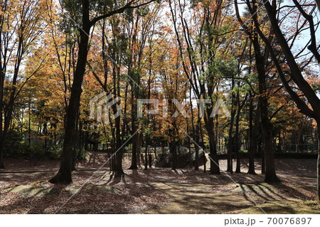 東京都練馬区東京都立城北中央公園の秋の風景 70076897