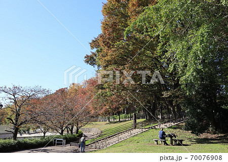 東京都練馬区東京都立城北中央公園の秋の風景 70076908